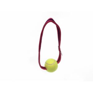 Ball on a Loop