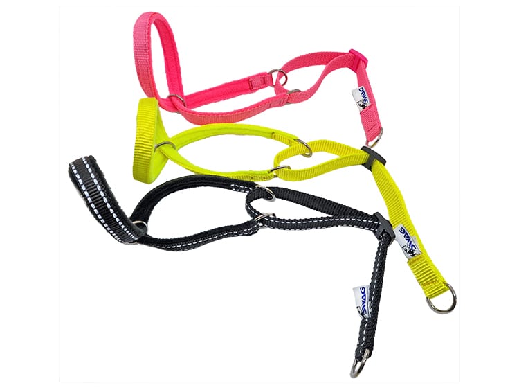 SWAG Headcollar Be Seen! SWAGK9