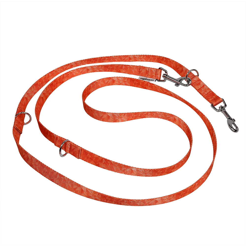 SWAG Editions Headcollar and Lead Set - Image 11