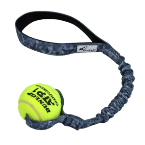Tennis Ball Bungee