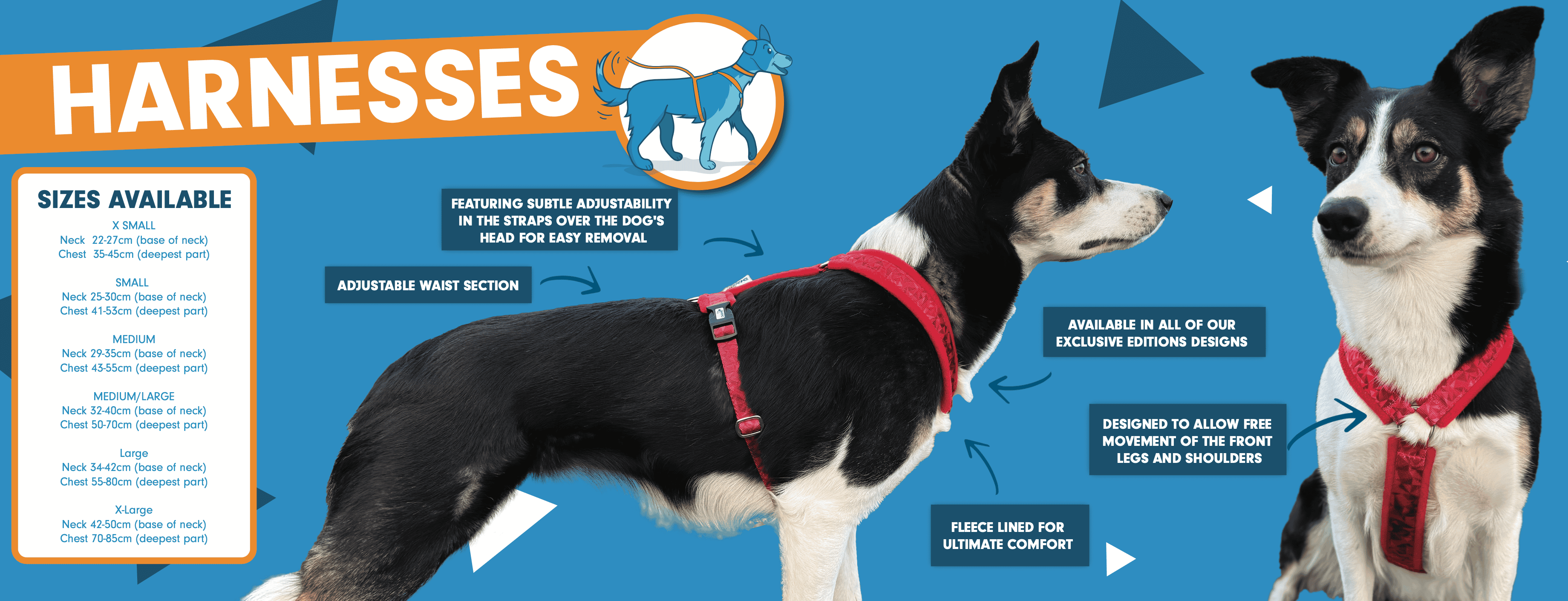 Harness - Image 11